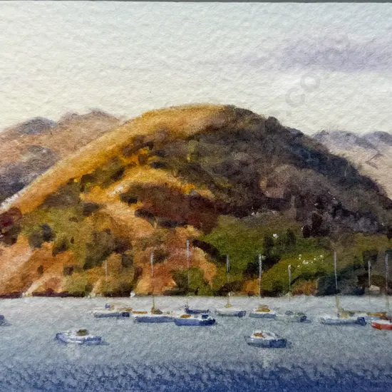 John Brasell - French Farm Yachts