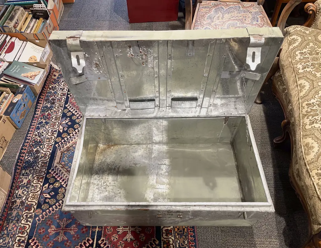 Two Trunks Image 1++