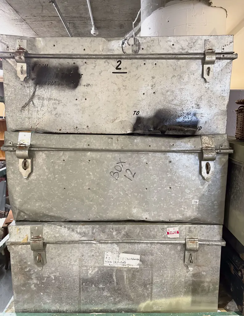 Two Trunks Image 1++