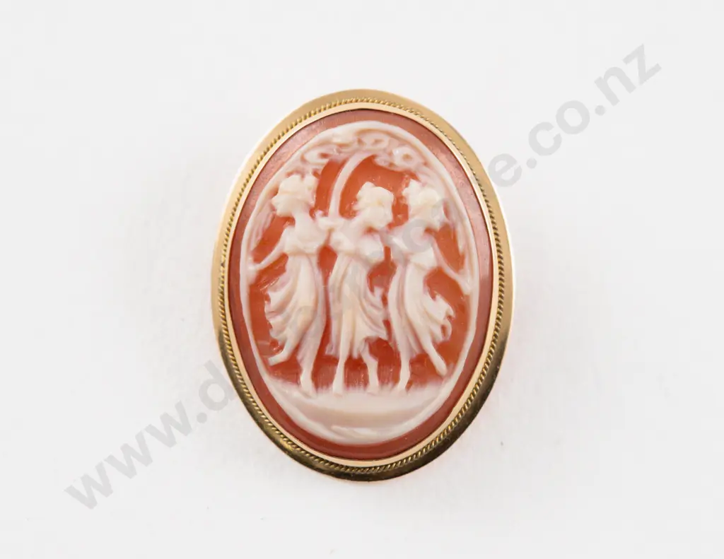 18ct Framed Cameo Brooch/Pendant Image 1++