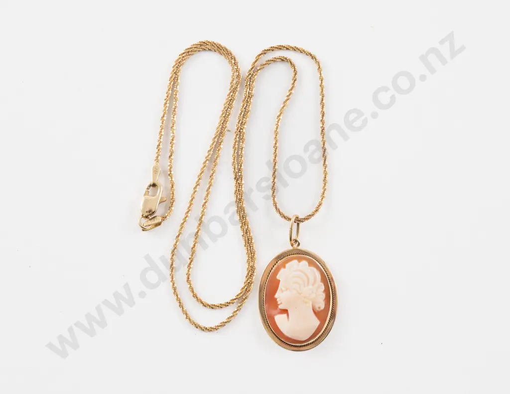 14ct Framed Classical Portrait Cameo Pendant Image 1++