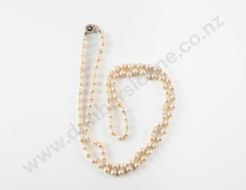 14ct Single Strand Freshwater Pearl Necklace Image 1++