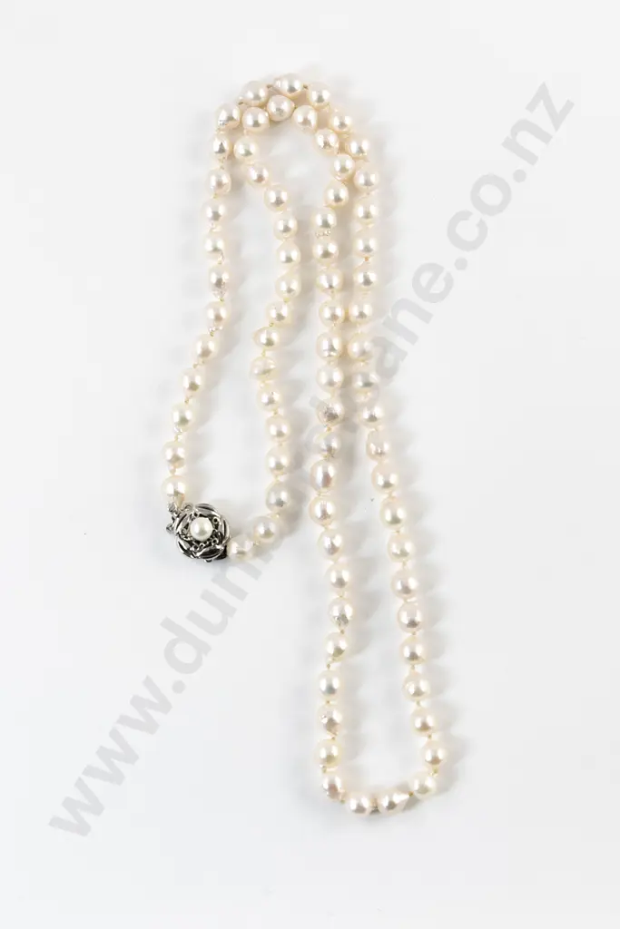 Single Strand Uniform Cultured Pearl Necklace Image 1++