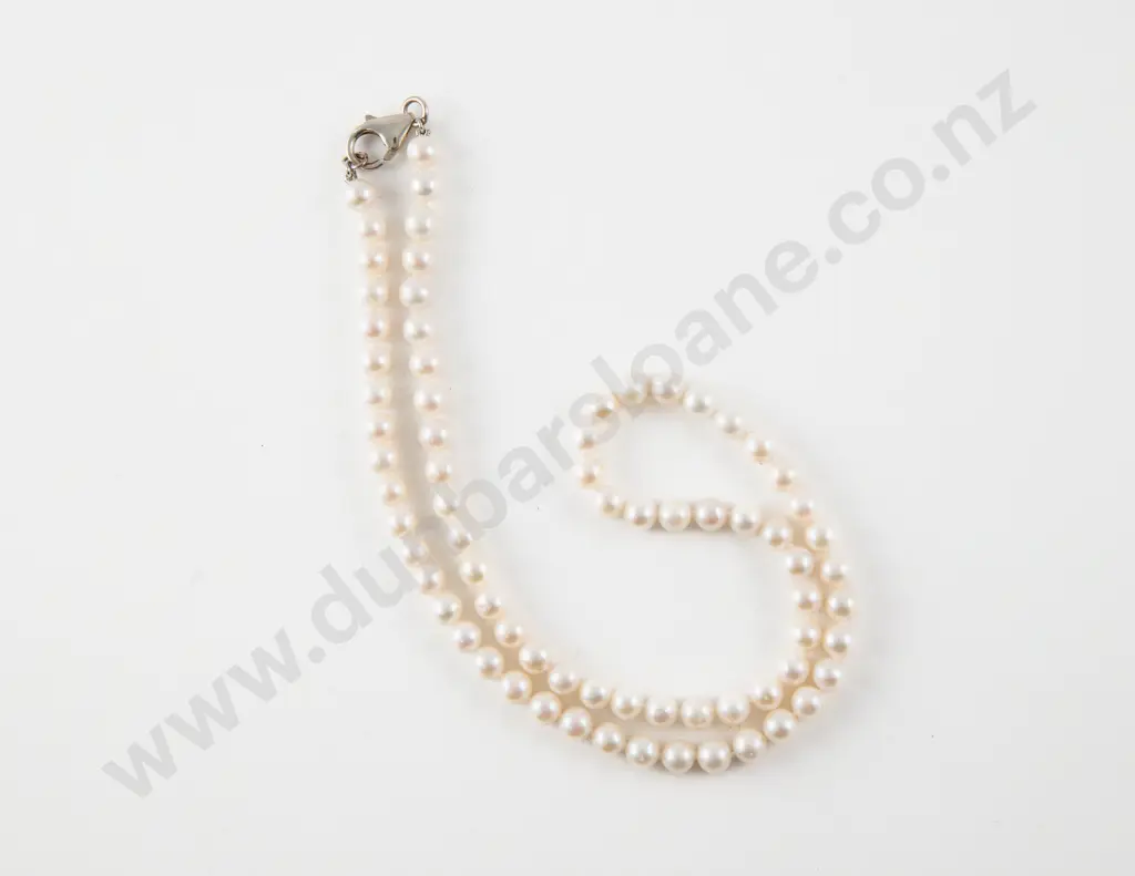 Single Strand Slightly Graduated Cultured Pearl Necklace Image 1++