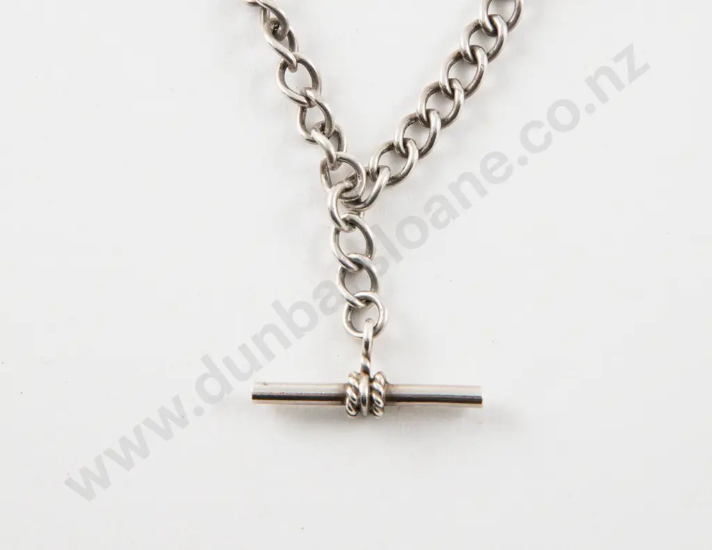 S/S Curb Link Albert Neck Chain Image 1++