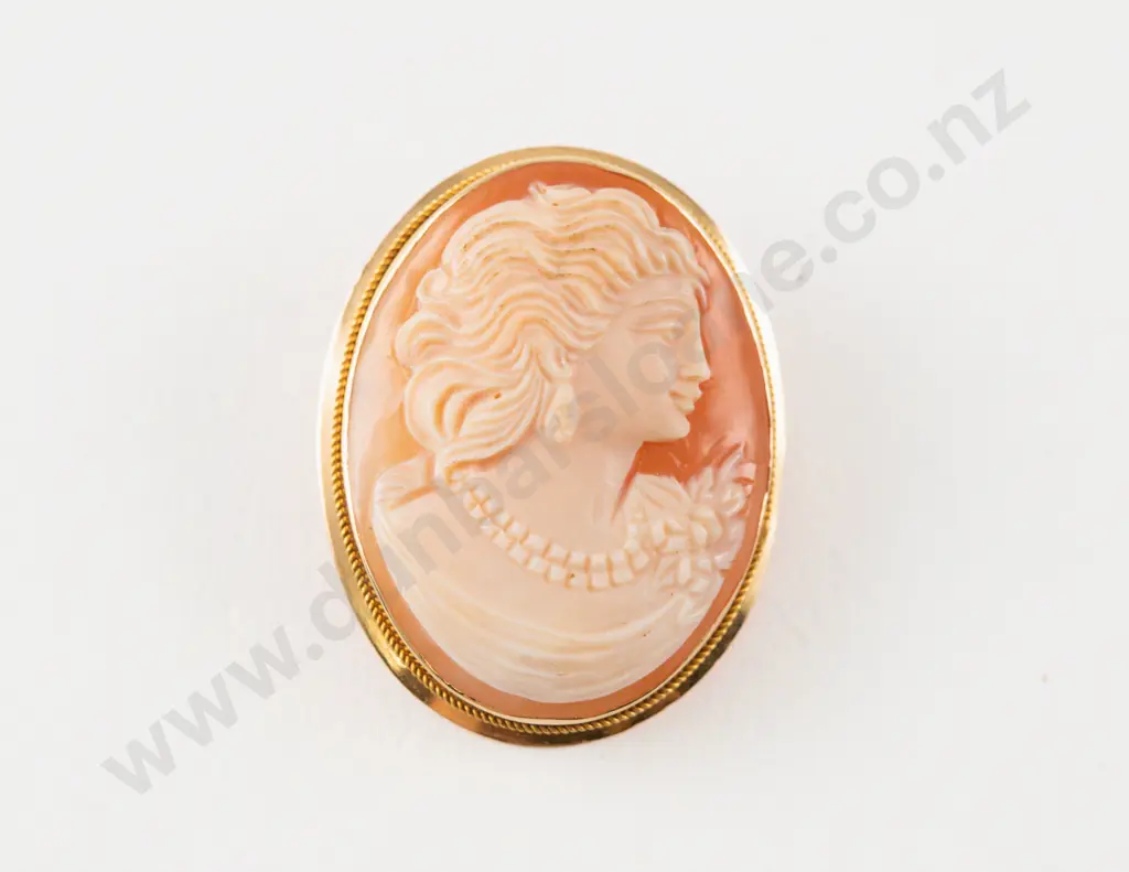14ct Framed Classical Portrait Cameo Brooch/Pendant Image 1++