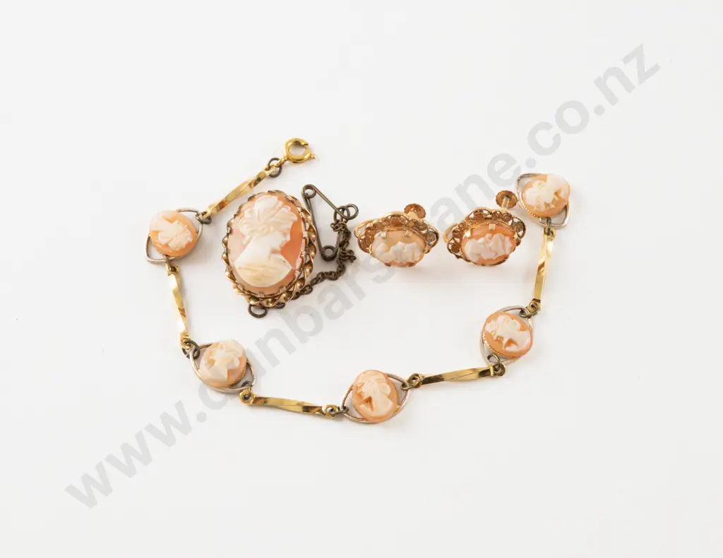 9ct Framed Classical Portrait Cameo Brooch with Pair Earrings Image 1++
