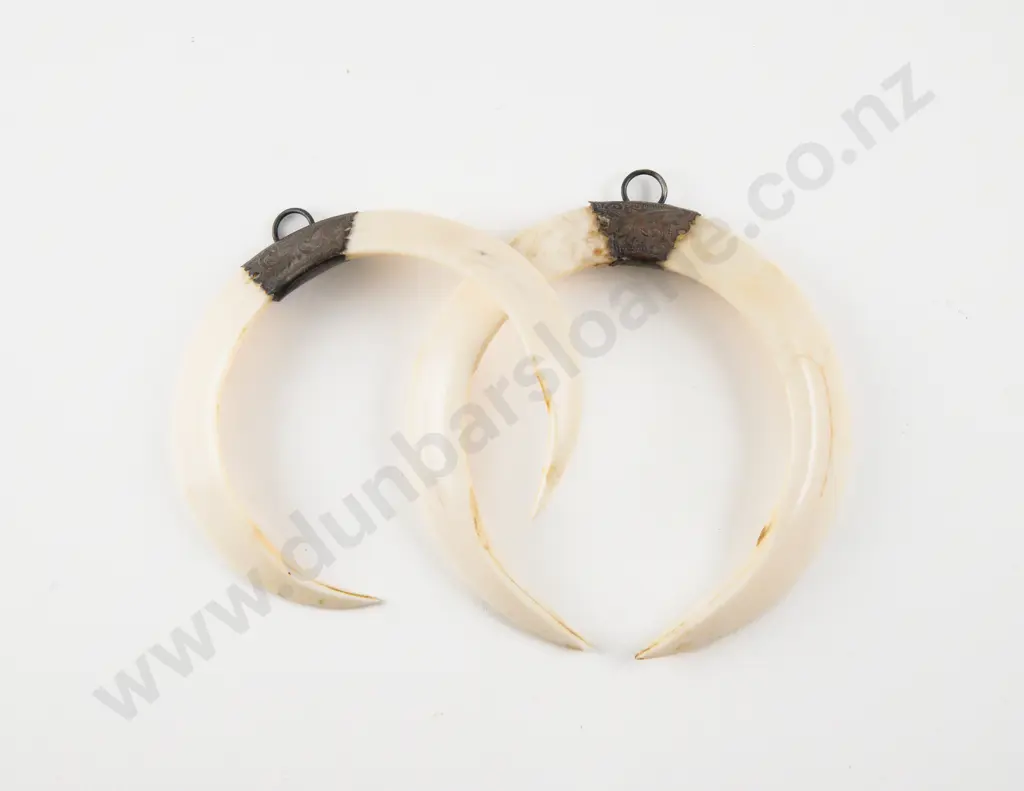 Two Silver Mounted Boar Tusk Pendants Image 1++