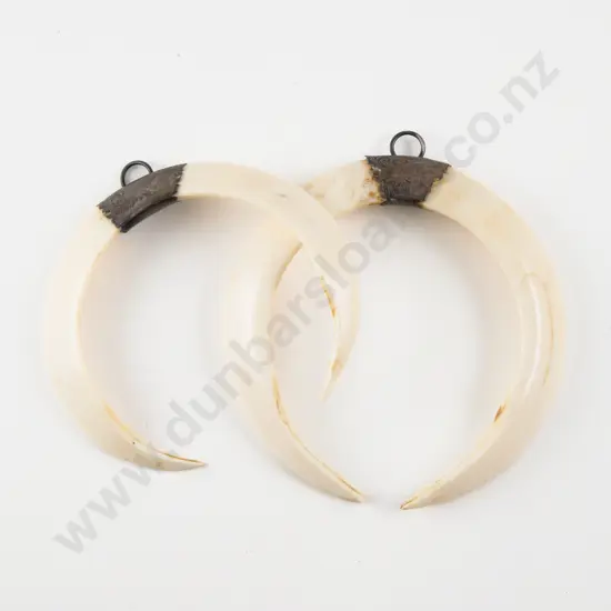 Two Silver Mounted Boar Tusk Pendants