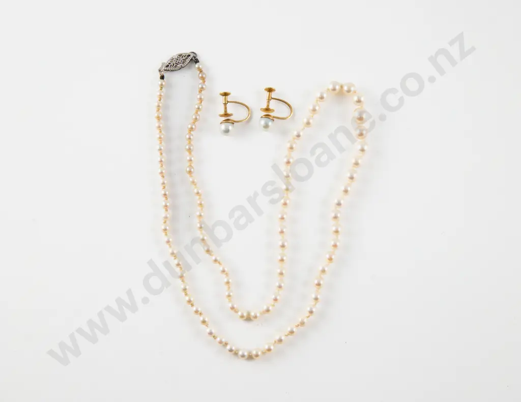 Pair 14ct Cultured Pearl Stud Earrings Image 1++