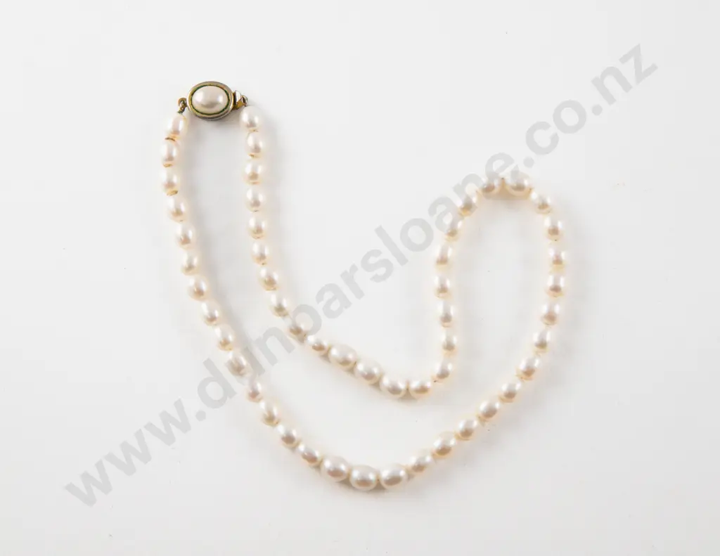 Uniform Single Strand Freshwater Pearl Necklace Image 1++