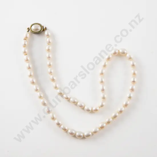 Uniform Single Strand Freshwater Pearl Necklace