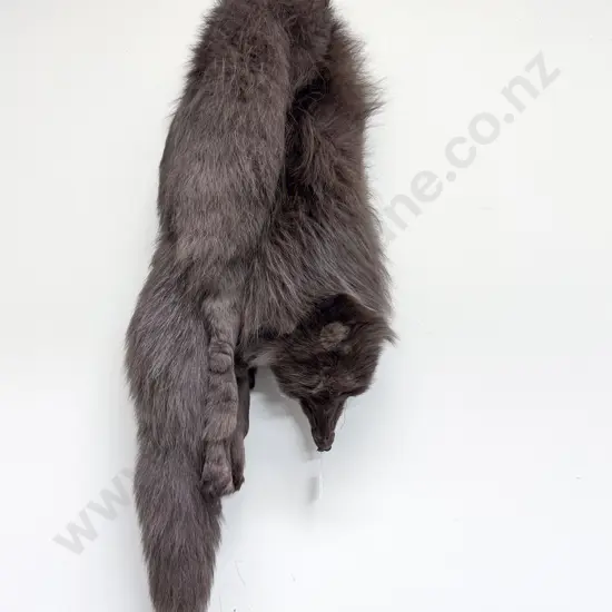 C1940's Fox Fur Shoulder Wrap