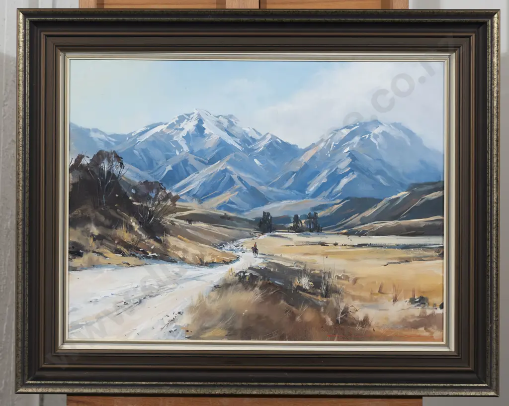 Colin C Wynn - Road to Glenshee - Waiau Image 1++
