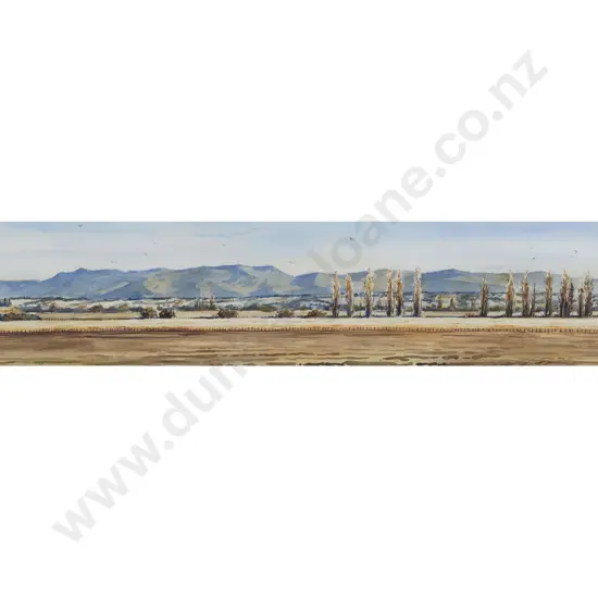 Scott Tulloch - Martinborough