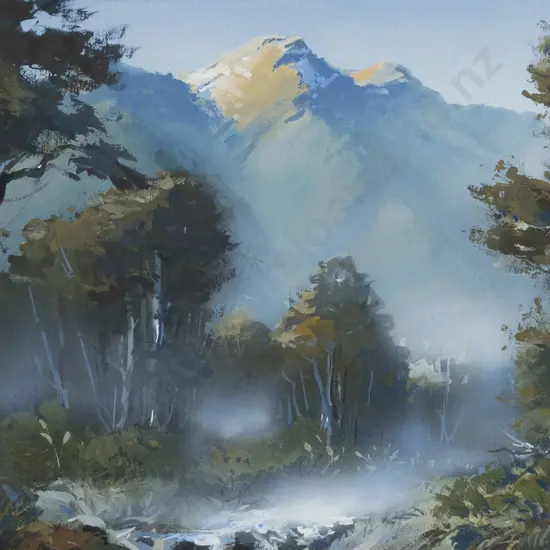 Colin C Wynn - Evening - Victoria Range - North Westland