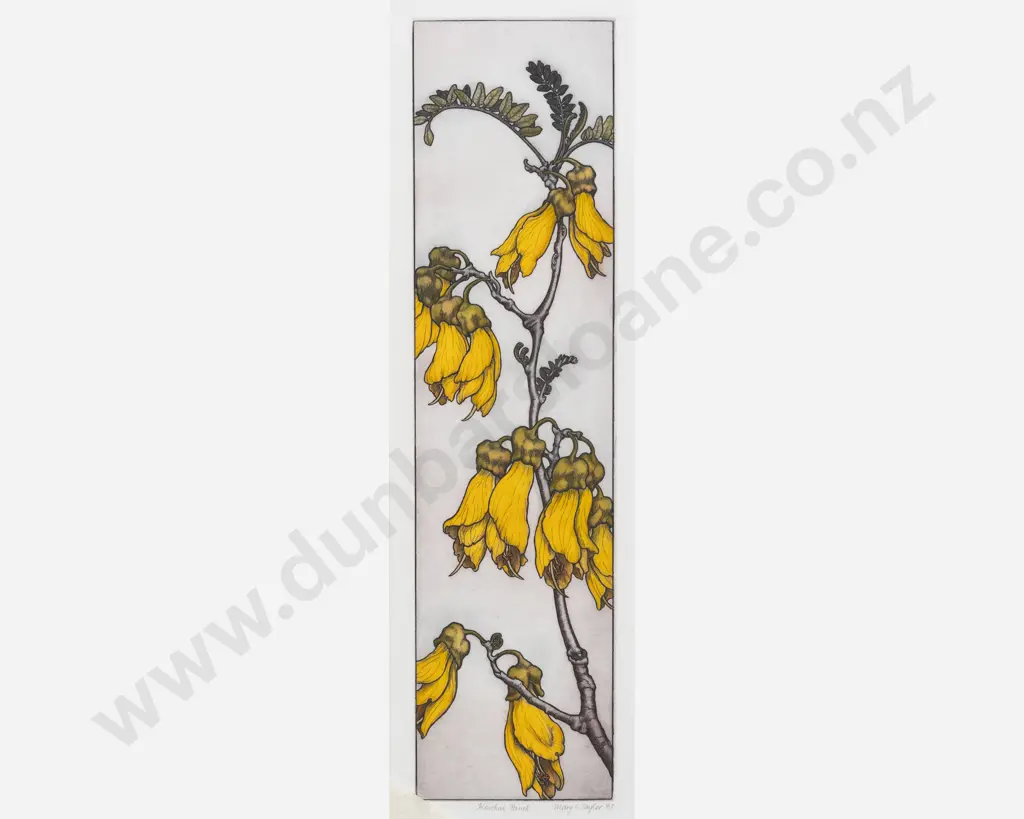 Mary E Taylor - Kowhai Panel Image 1++
