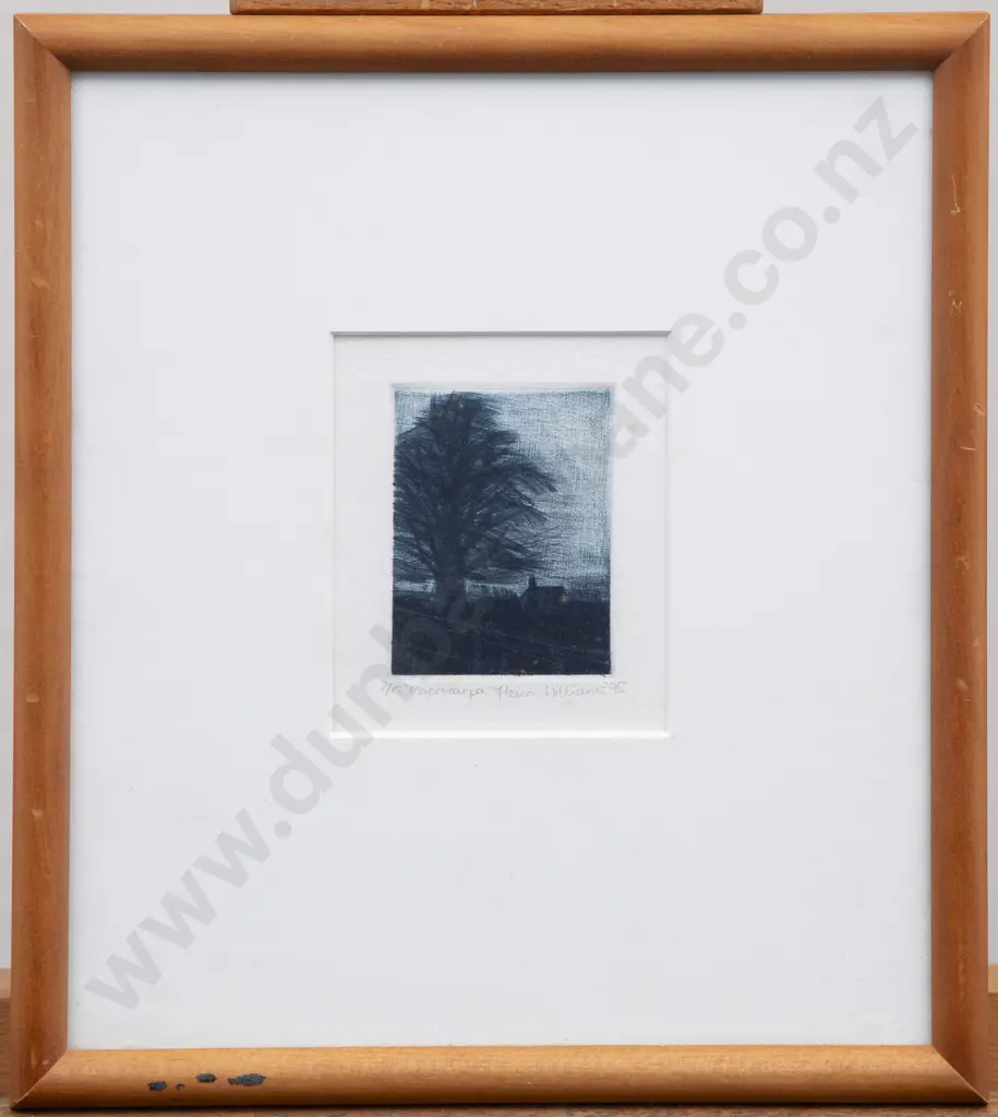 Fleur Williams - Macrocarpa Image 1++