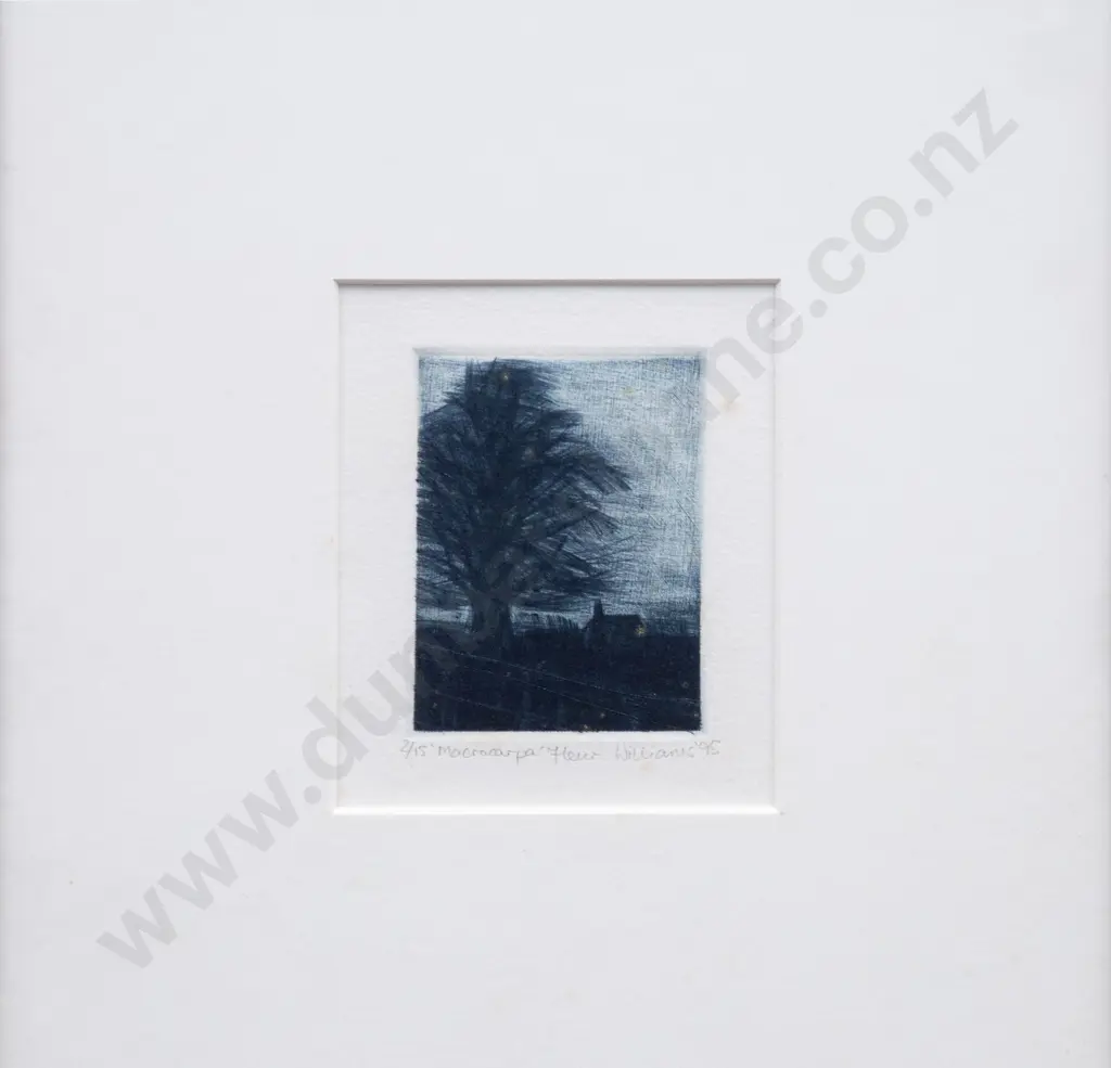 Fleur Williams - Macrocarpa Image 1++
