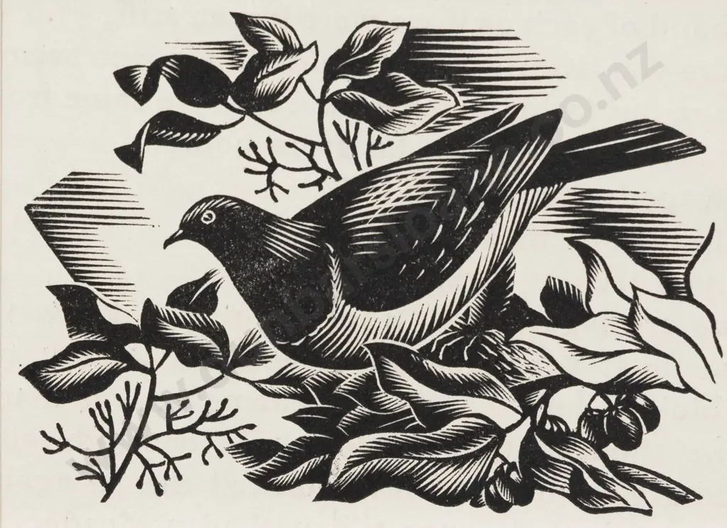 E Mervyn Taylor - Bush Pidgeon Image 1++