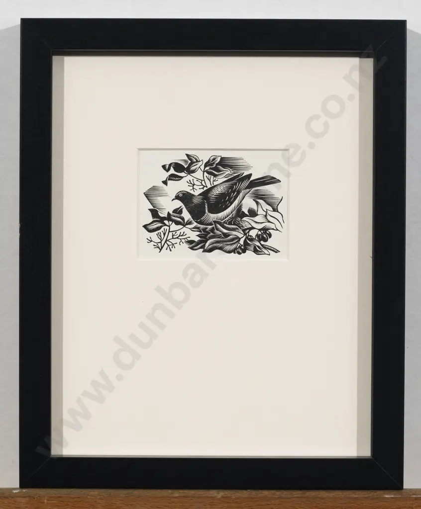 E Mervyn Taylor - Bush Pidgeon Image 1++