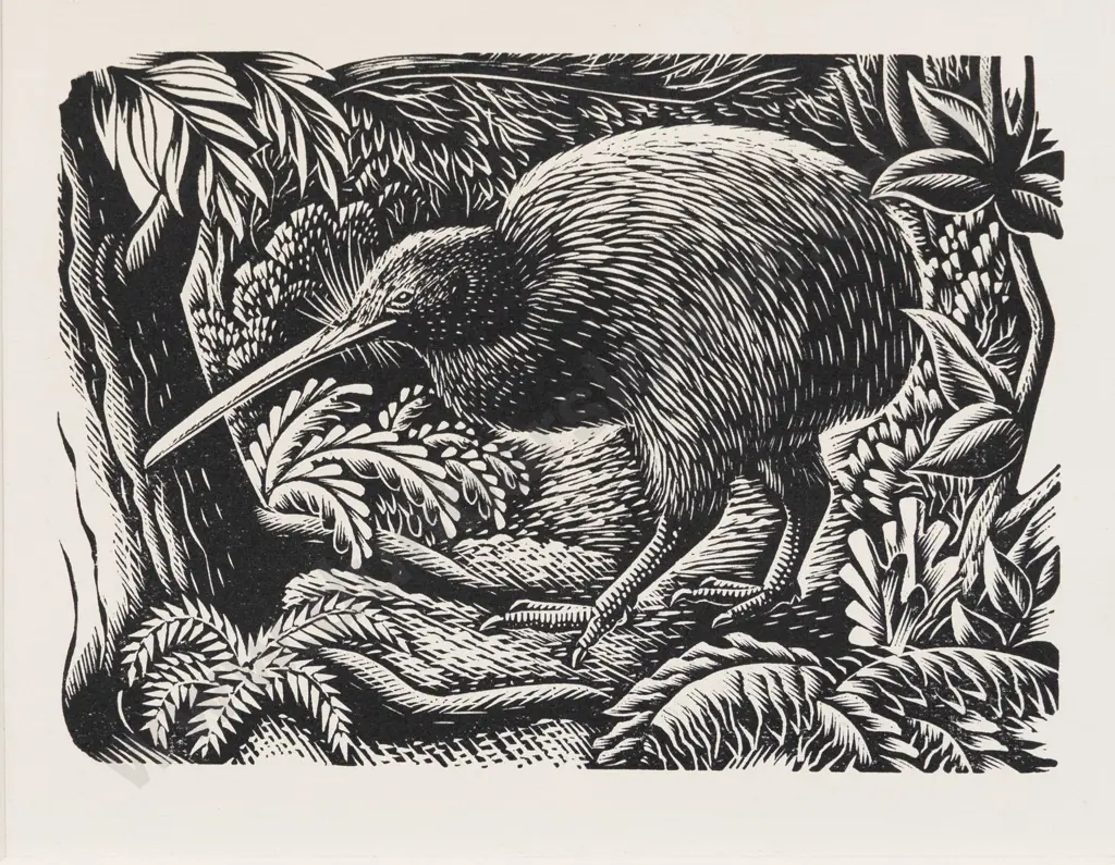 E Mervyn Taylor - Kiwi Image 1++