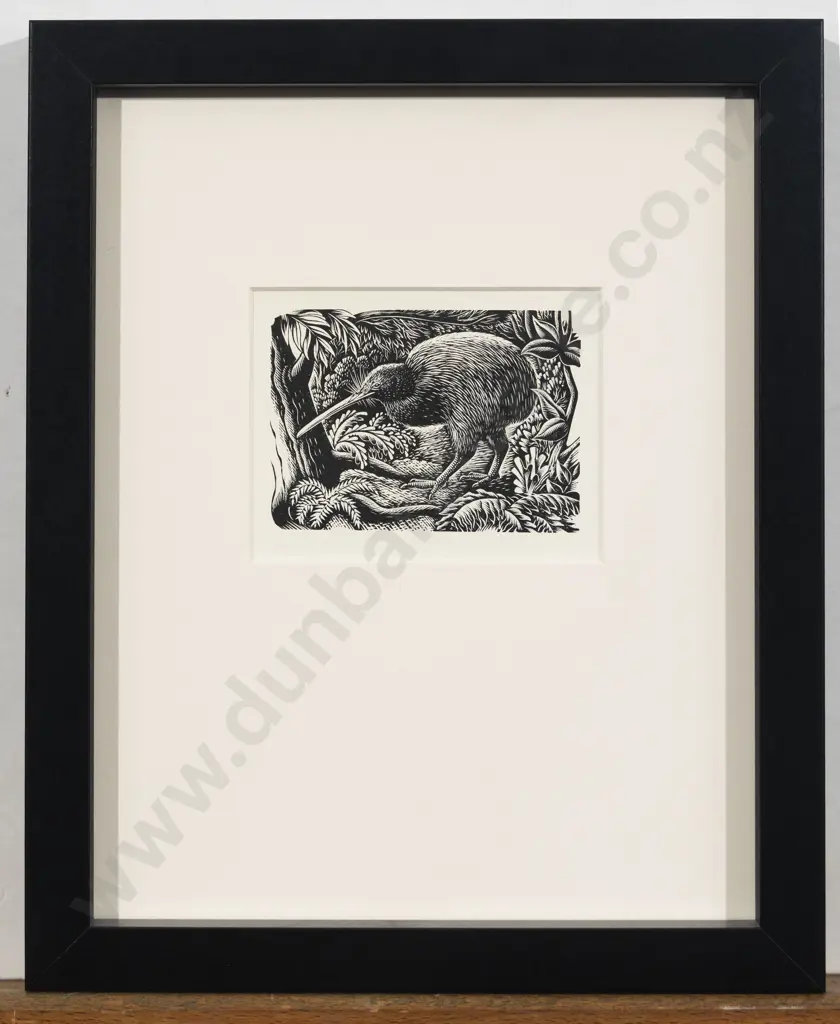 E Mervyn Taylor - Kiwi Image 1++