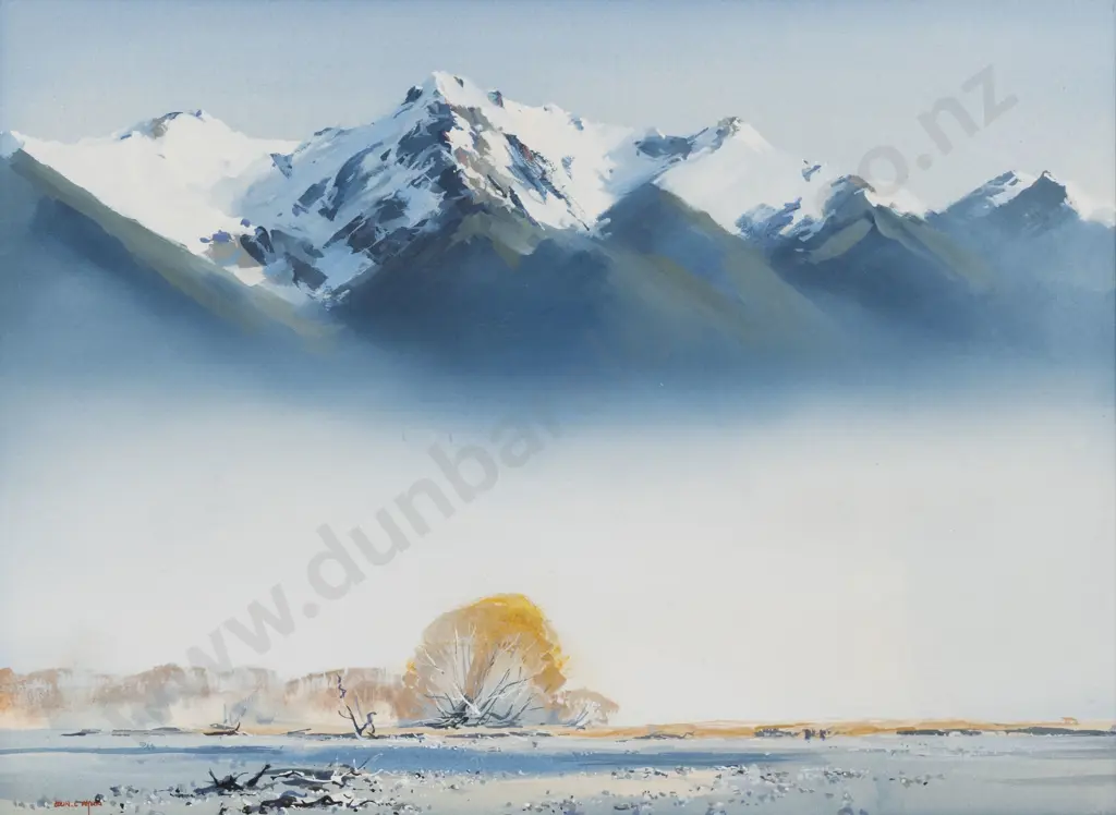 Colin C Wynn - Crisp and Clear - Marua - North Westland Image 1++