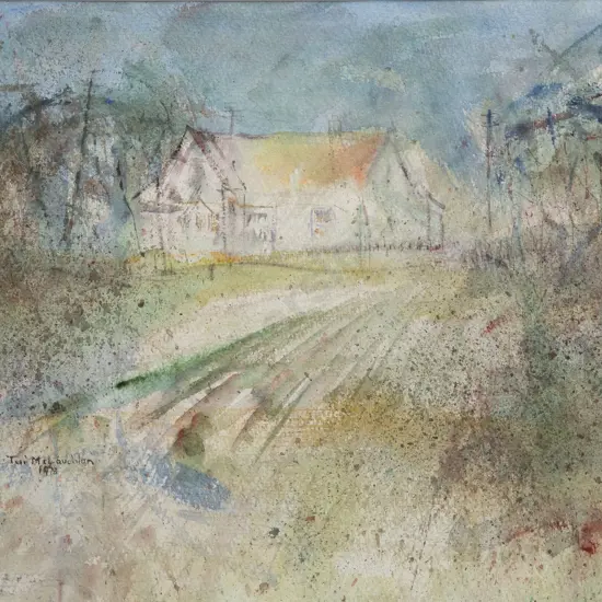 Tui McLauchlan - Street Scene