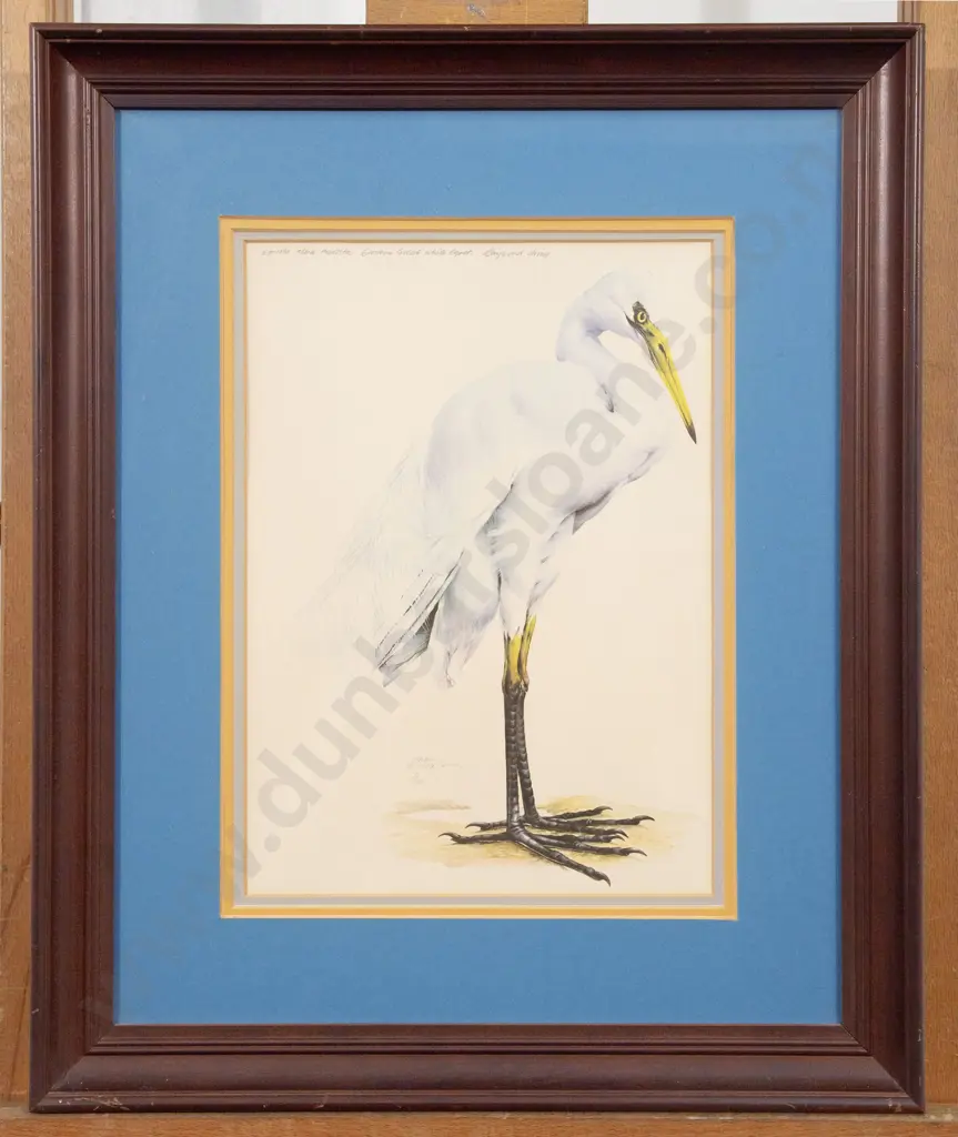 Raymond Ching - Eastern Great White Egret Image 1++