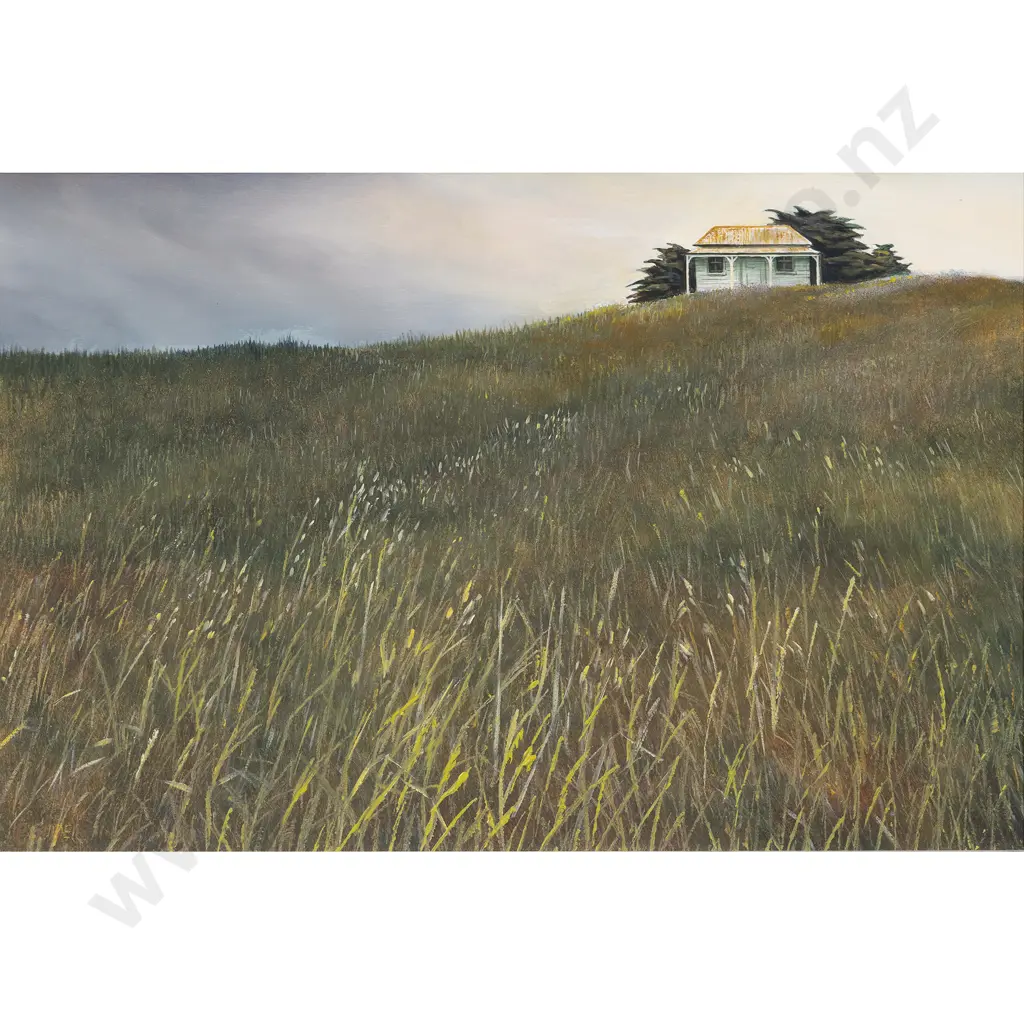 Peter Siddell - House and Grass Image 1++