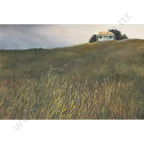 Peter Siddell - House and Grass