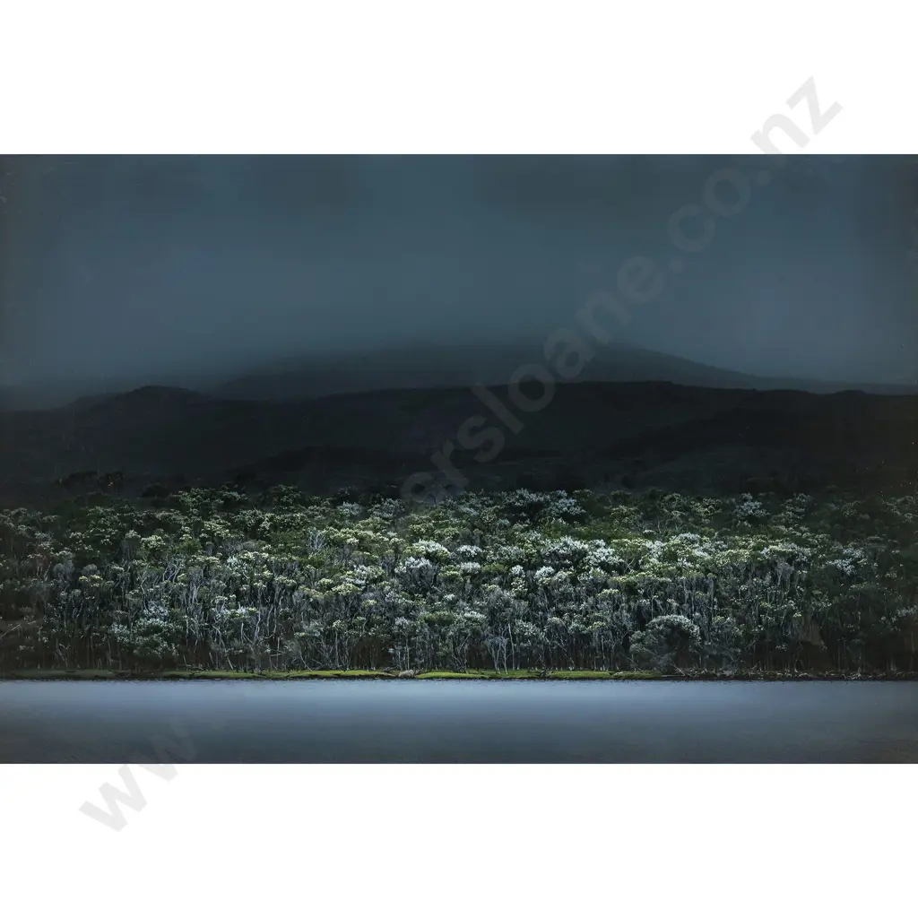 Scott Perkins - Large Lightbox I Image 1++