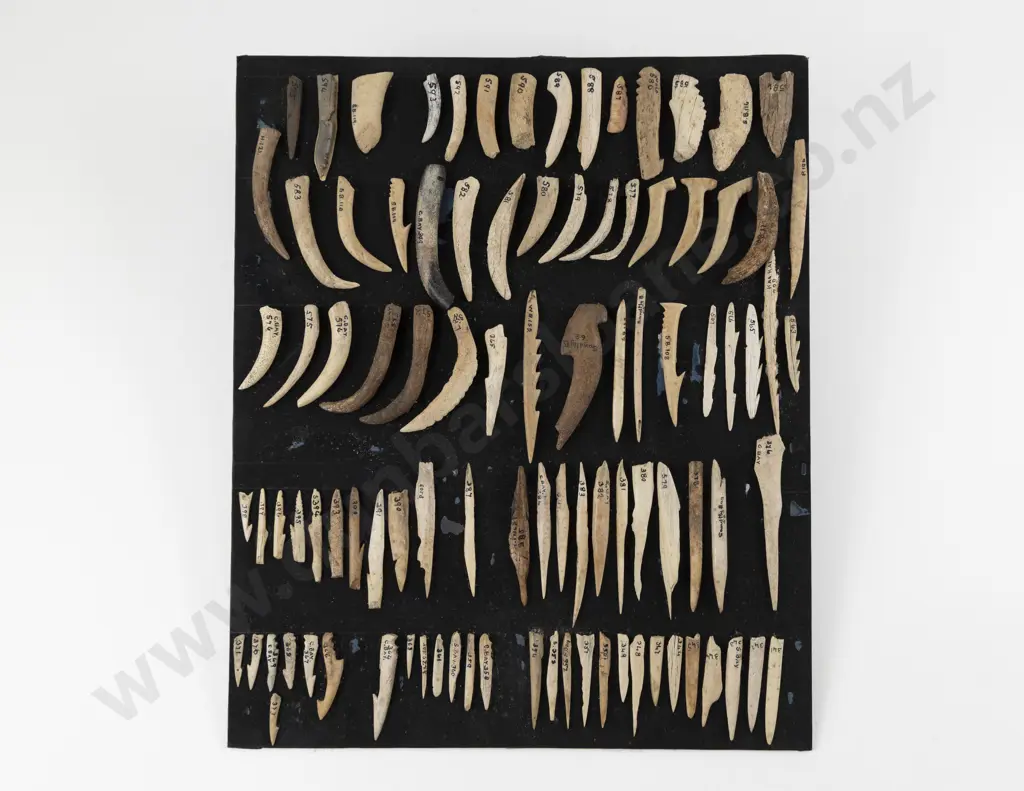 Ninety-Seven Bone Spear Tips-Barbs-Fish Hooks and Points Image 1++