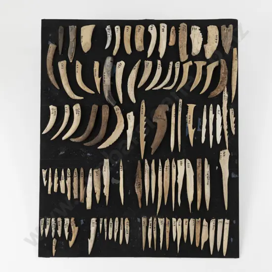 Ninety-Seven Bone Spear Tips-Barbs-Fish Hooks and Points