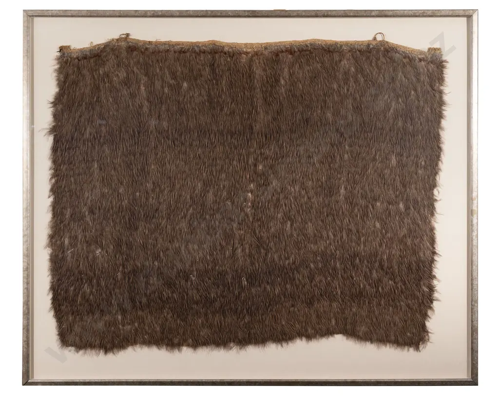 C19th Cased Kahu Kiwi - Kiwi Feather Cloak Image 1++