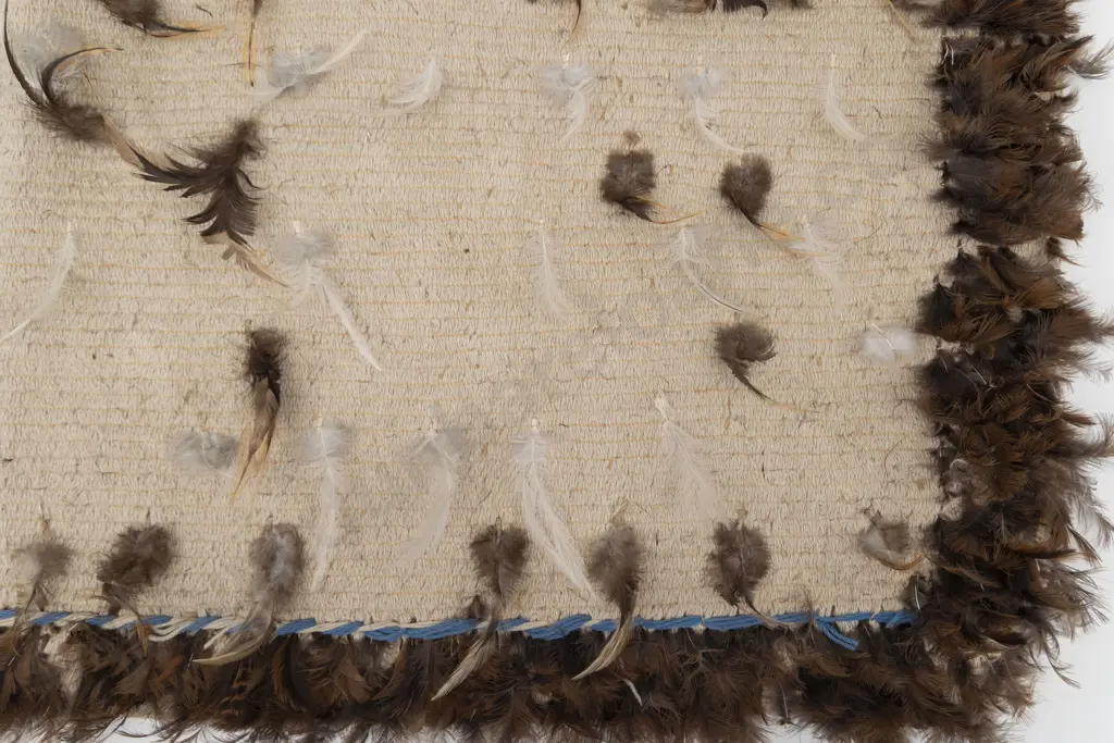 Kahu Huruhuru (feather cloak) Image 1++