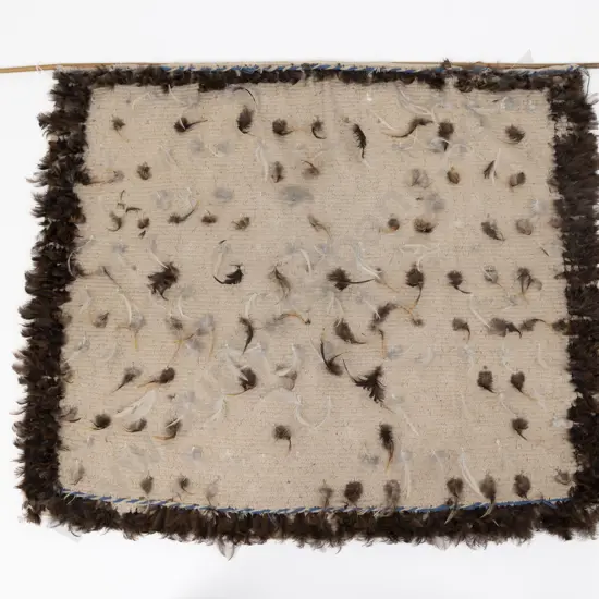 Kahu Huruhuru (feather cloak)