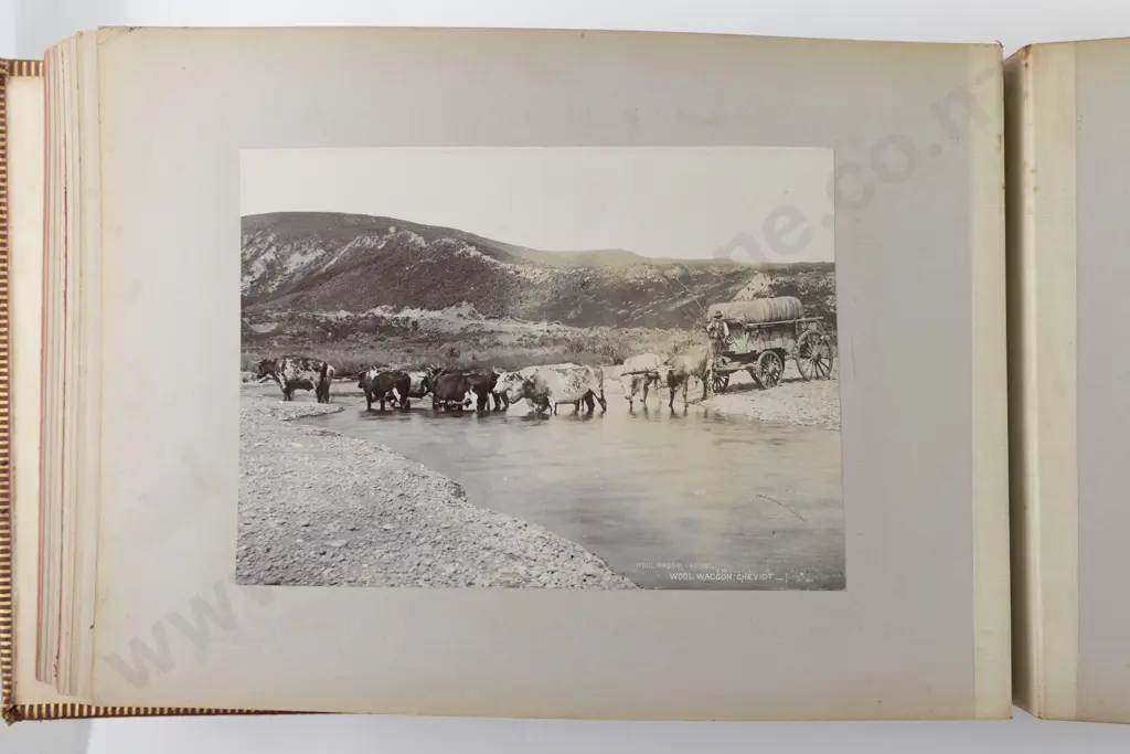 Photo Album Of New Zealand Landscape Scenes By Professional Photographer Daniel Louis Mundy (1826 - 1881) Image 1++
