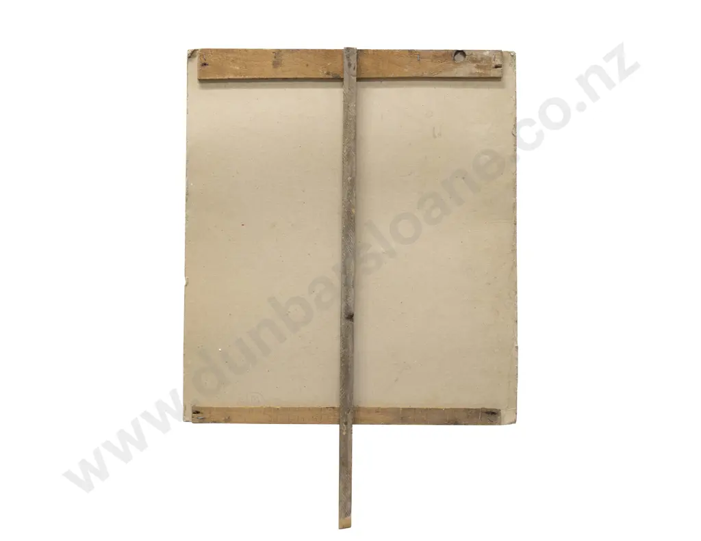 The Original "Hands Off Bastion Point" Protest Sign Image 1++