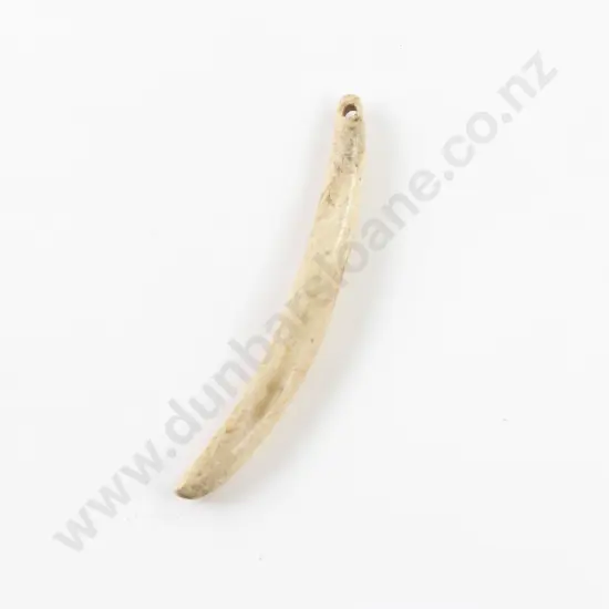 Whale Tooth Aurei (Cloak Pin)