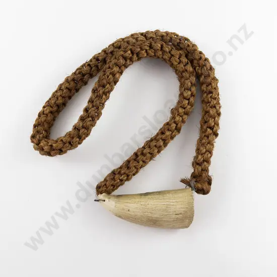 Fijian Tabua (Ceremonial Marine Ivory Tooth)