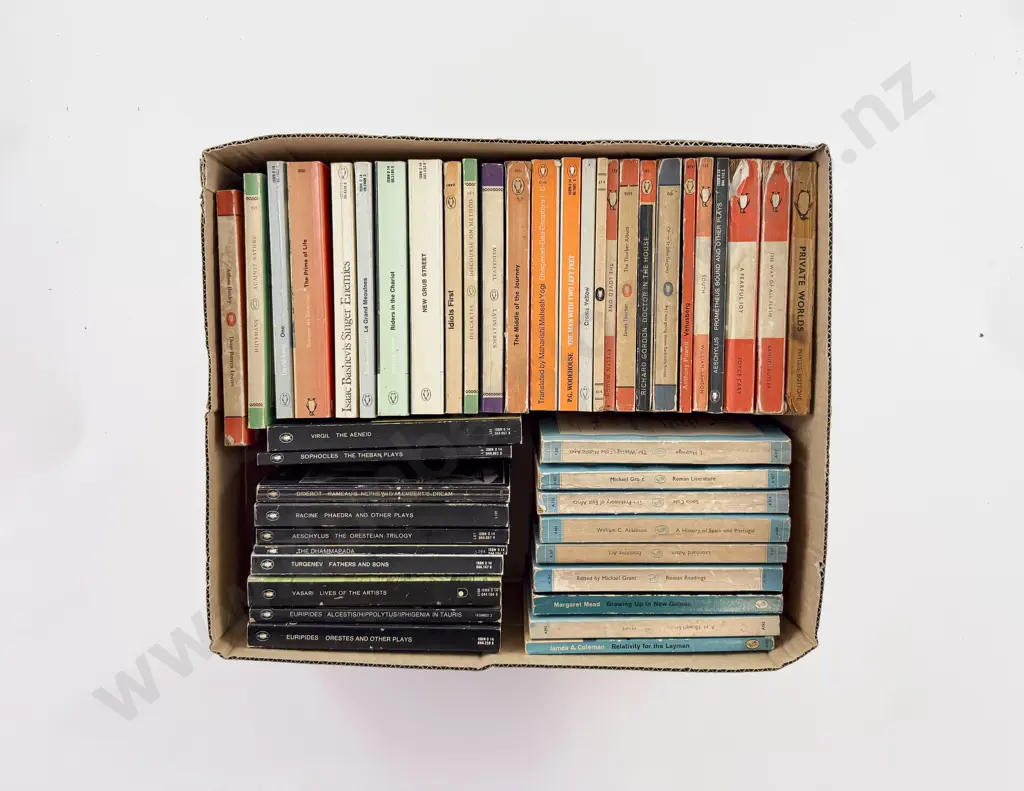 Box of Orange Penguin Fiction & Plays & Pelican Non-Fiction Image 1++