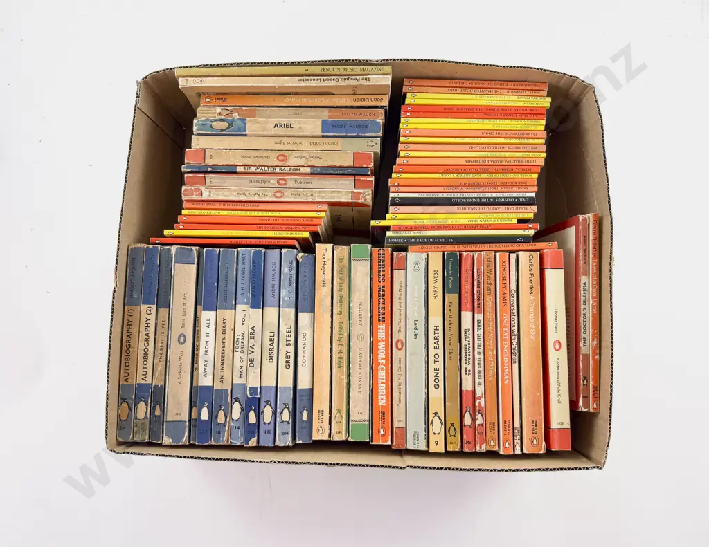 Box of Mixed Penguin Fiction & Biographies Image 1++