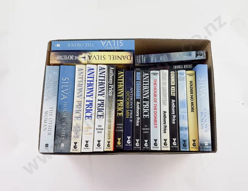 Box Lot Mystery & Thriller Fiction Image 1++
