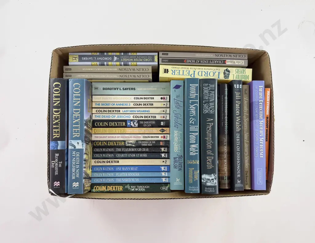 Box Lot Mystery & Thriller Fiction Image 1++