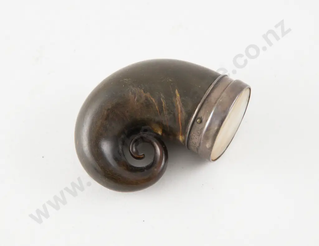 C19th Scottish Horn Snuff Mull Image 1++