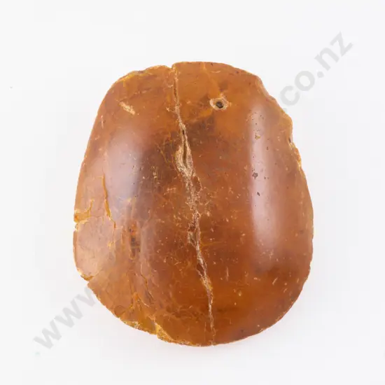 Kauri Gum with Incased Skink