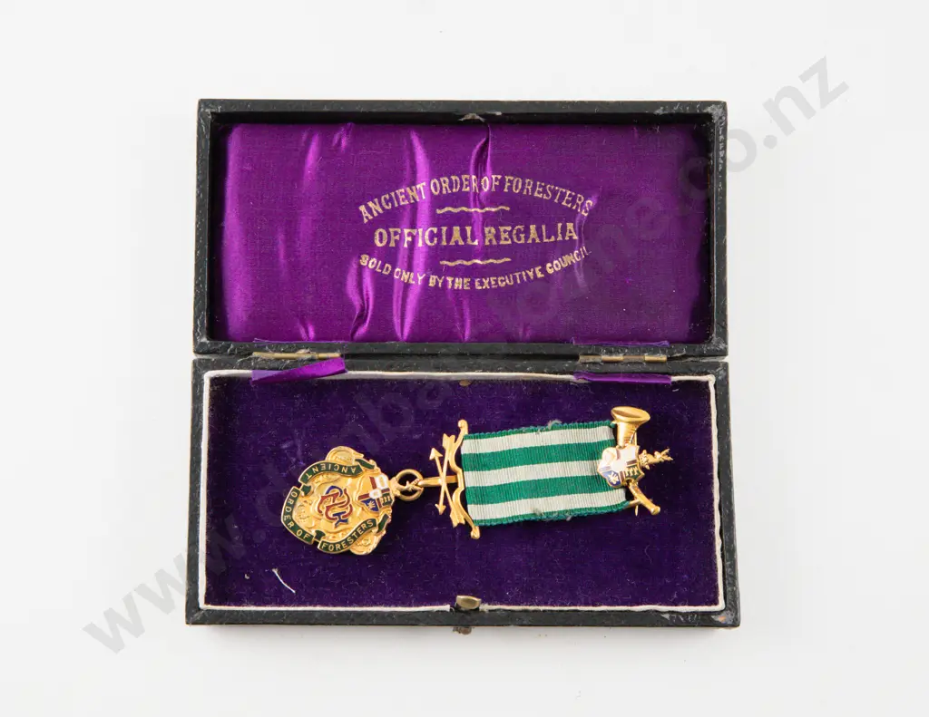 9ct Ancient Order of Foresters Image 1++