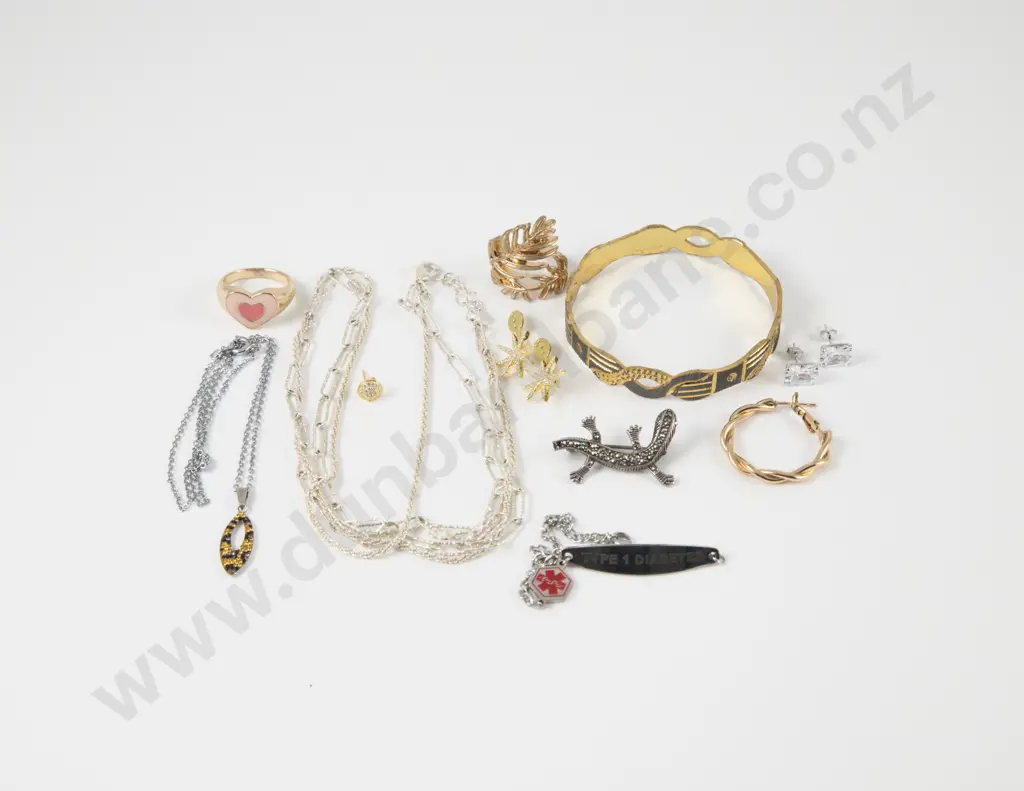 Pair S/S Cubic Zirconia Stud Earring with S/S Neck Chain and Assorted Costume Jewellery Image 1++